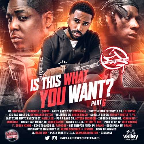 Various Artists - Is This What You Want 6