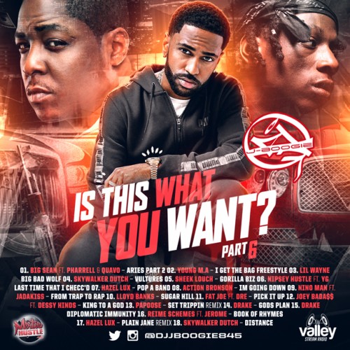 Is This What You Want 6 - DJ J-Boogie