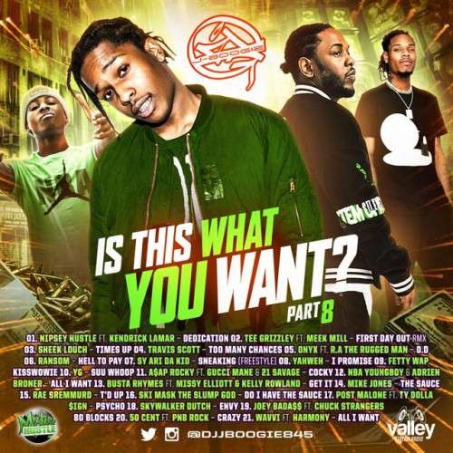Various Artists - Is This What You Want 8