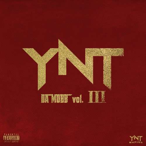 Various Artists - YNT Da Mobb 3