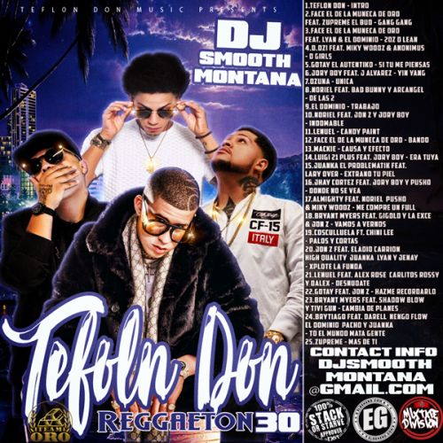 Teflon Don Reggaeton 30 - Various Artist (DJ Smooth Montana)
