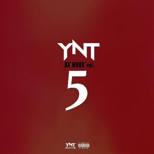 Various Artists - YNT Da Mobb 5