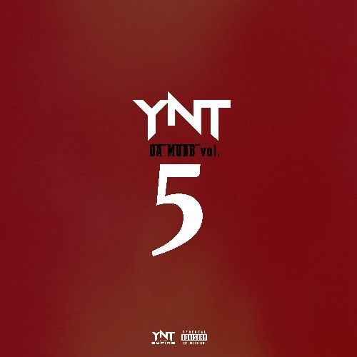 YNT Da Mobb 5 - DJ Hektik