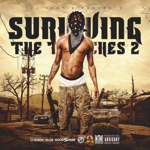 Various Artists - Surviving The Trenches 2