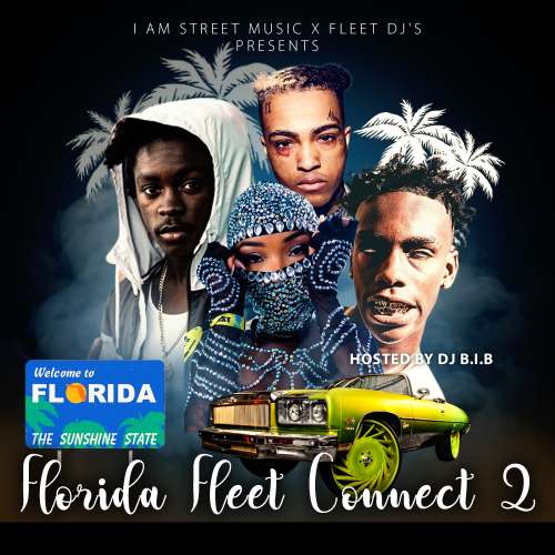 Various Artists - Florida Fleet Connect 2