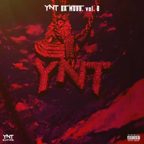 Various Artists - YNT Da Mobb 8