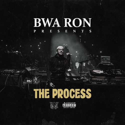 Various Artists - The Process