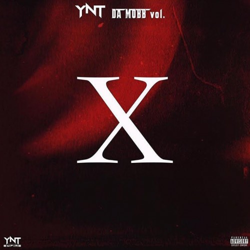 YNT Da Mobb 10 - Hot Boy Turk (DJ Hektik)