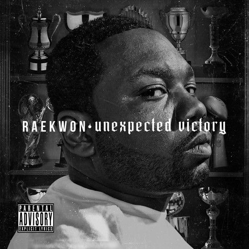 Unexpected Victory cover