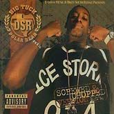 Polar Bear (Chopped & Screwed) (2005) cover