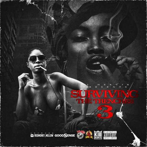 Various Artists - Surviving The Trenches 3