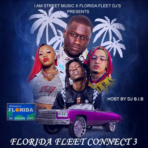 Various Artists - Florida Fleet Connect 3