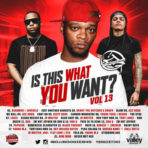 Is This What You Want Vol. 13 - DJ J-Boogie