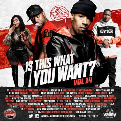 Various Artists - Is This What You Want 14
