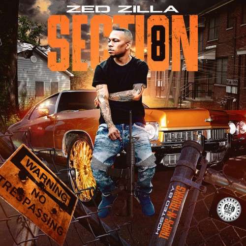 Zed Zilla - Section 8