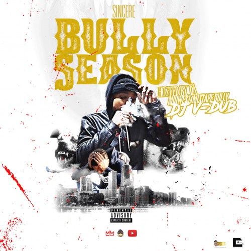 Bully Season - Sincere (DJ V Dub)