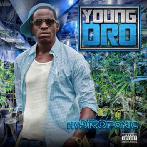 Hydroponic - Young Dro