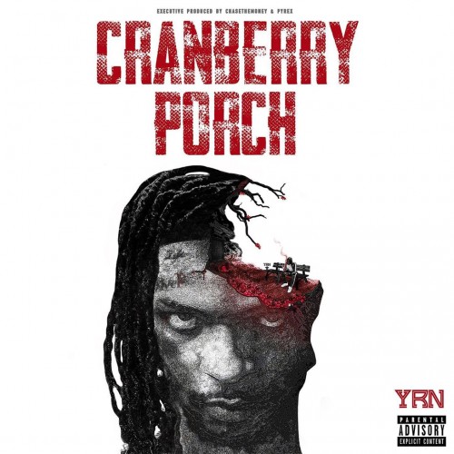 Cranberry Porch - YRN Murk (YRN)