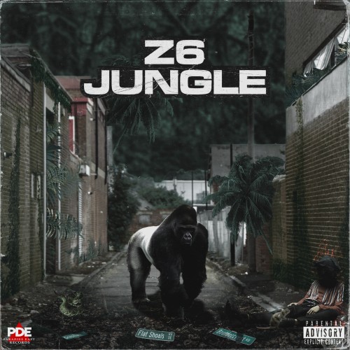 Z6 Jungle - PSGenny & PSDre (PDE)