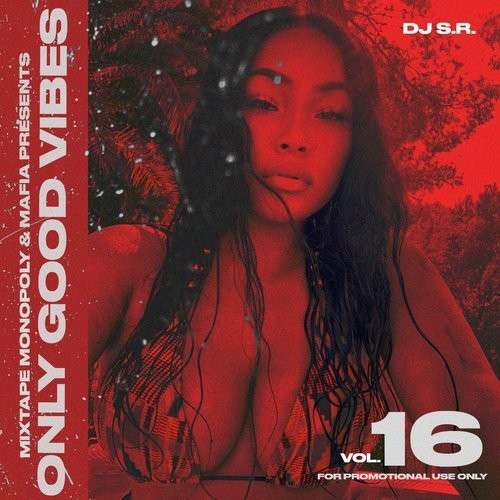 Various Artists - Only Good Vibes 16