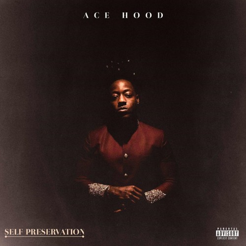 Self Preservation - Ace Hood