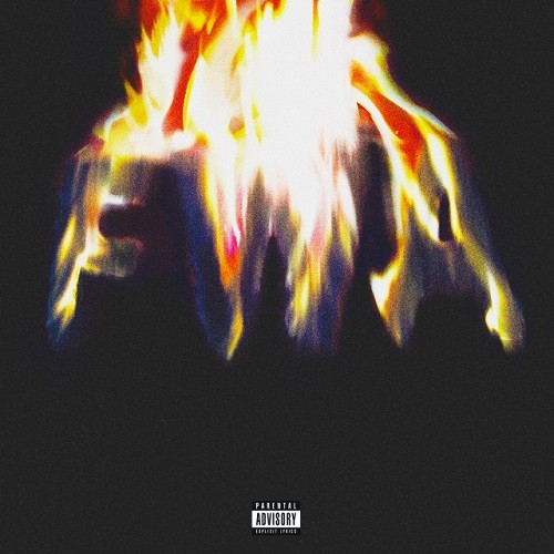 FWA (Free Weezy Album) - Lil Wayne