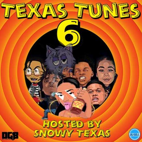 Various Artists - Texas Tunes 6