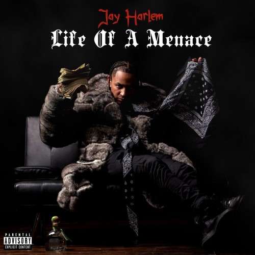 Jay Harlem - Life Of A Menace
