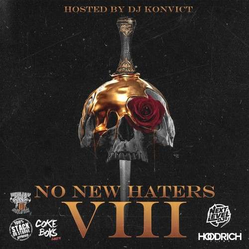 Various Artists - No New Haters 8