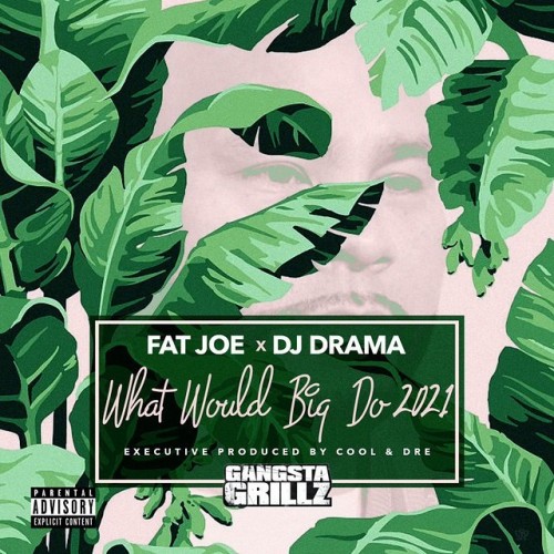 What Would Big Do 2021? - Fat Joe (DJ Drama)