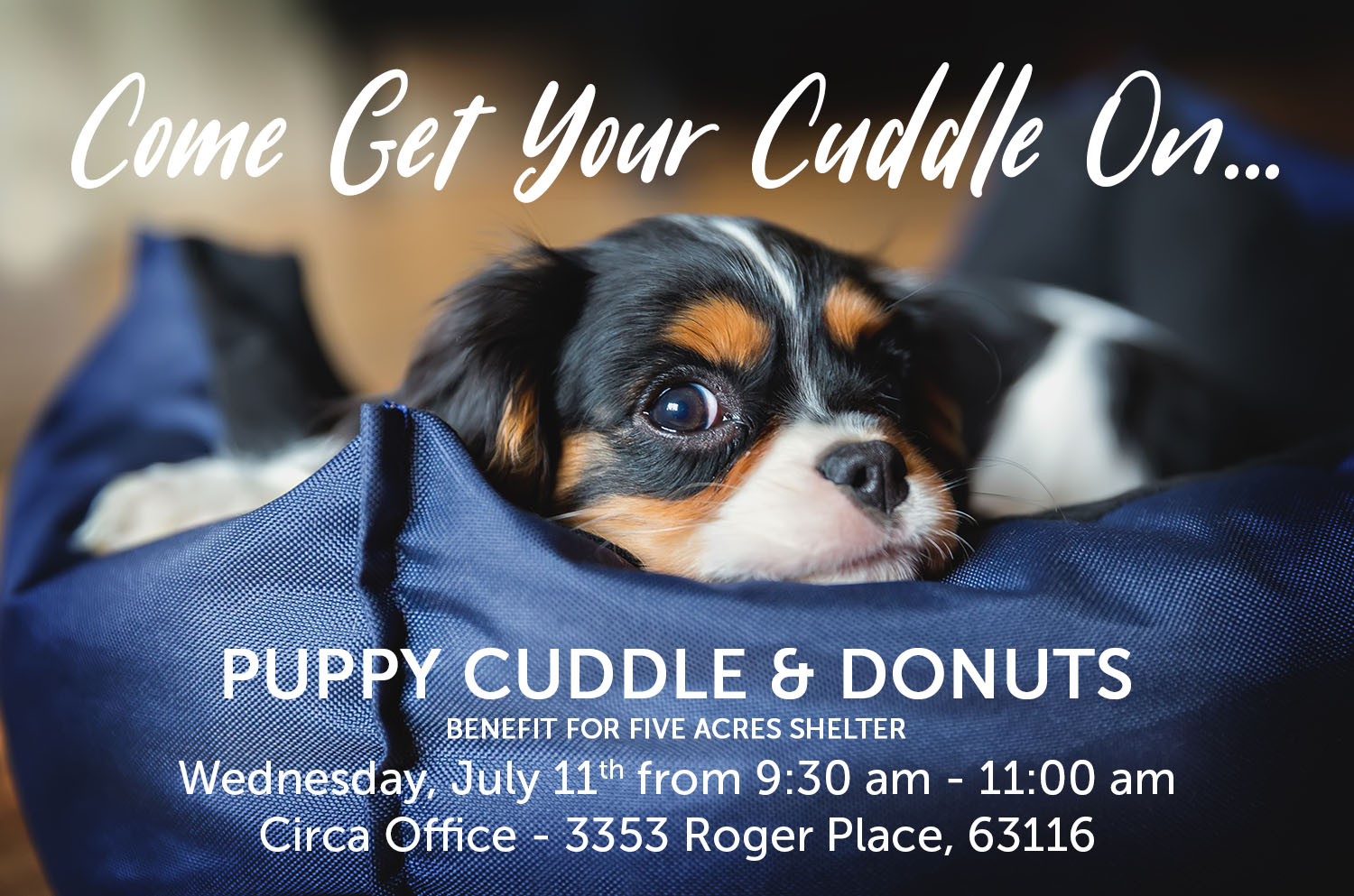 Puppy Cuddle & Donuts