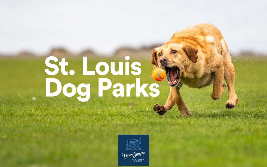 Dog Parks in St. Louis Dawn Griffin Real Estate Group