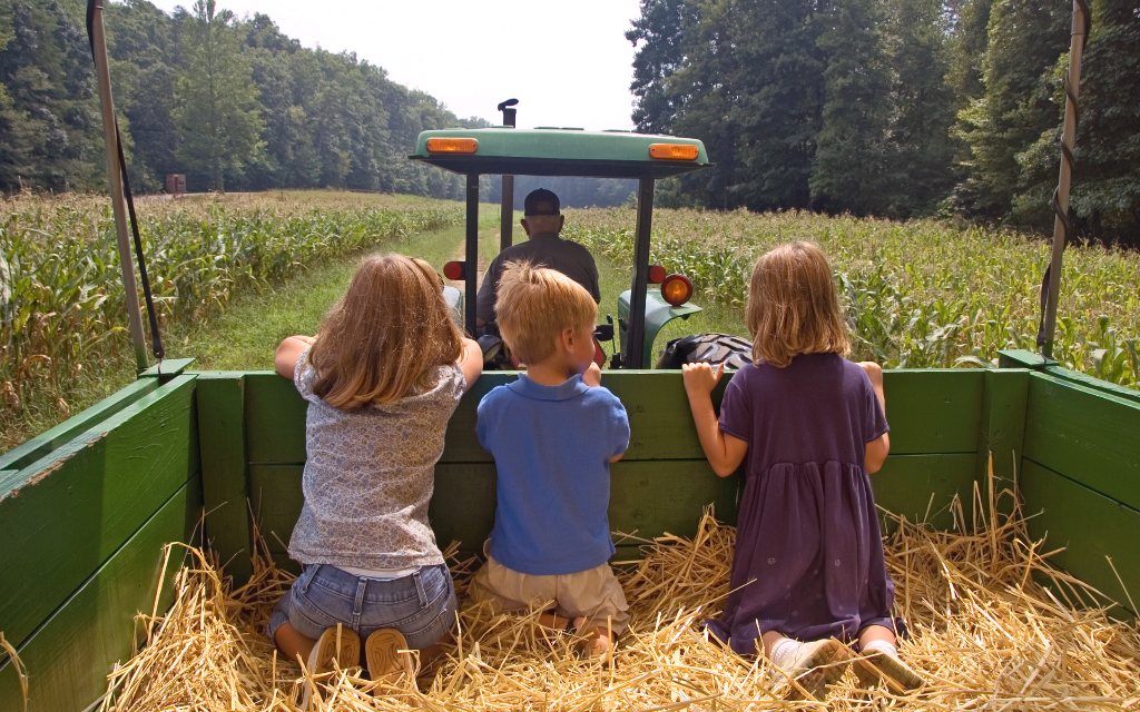 Kids in a hayride wagon