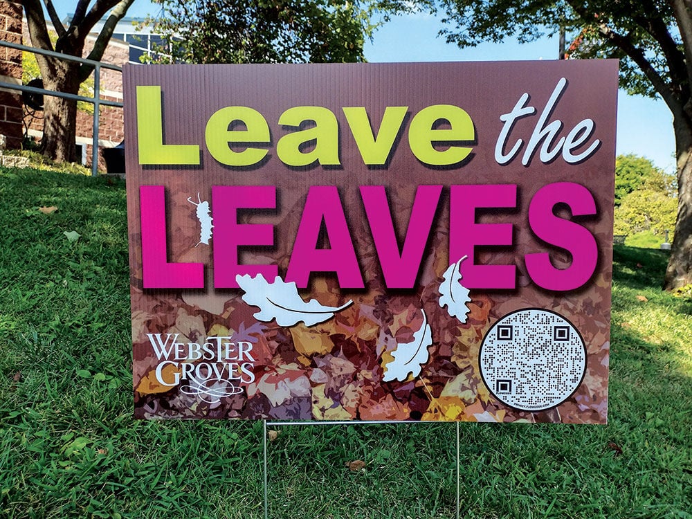 Leave the leaves sign as part of fall yard maintenance