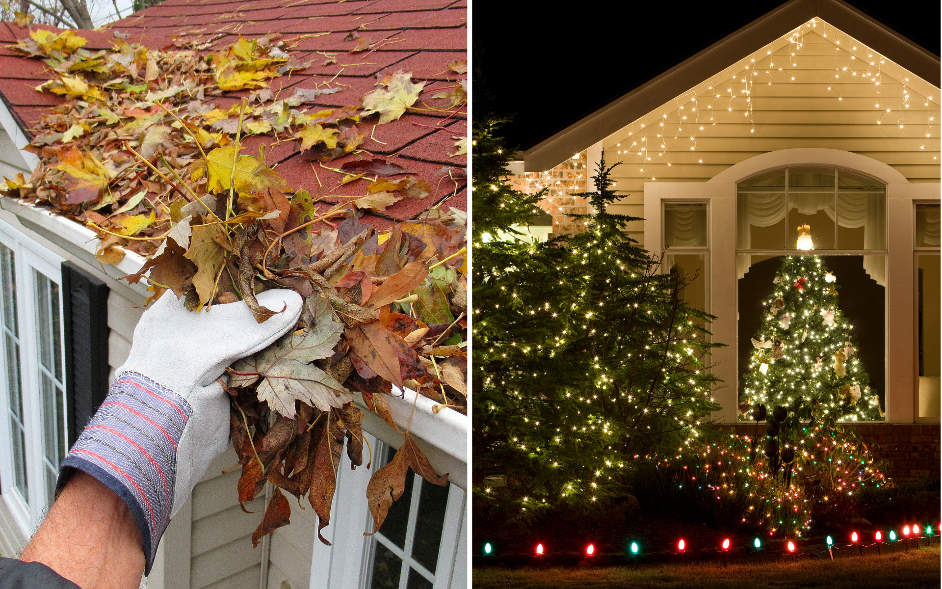 fall leaves and holiday lights