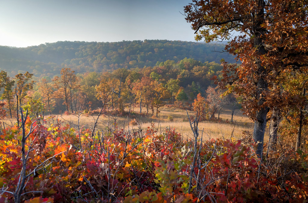 HaHa Tonka State Park in Fall