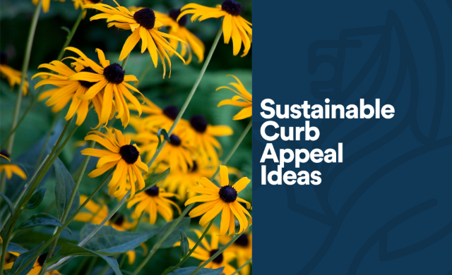 Sustainable Curb Appeal Ideas