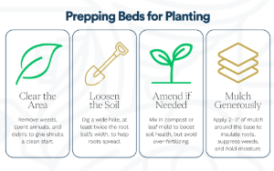 prepping beds for planting chart