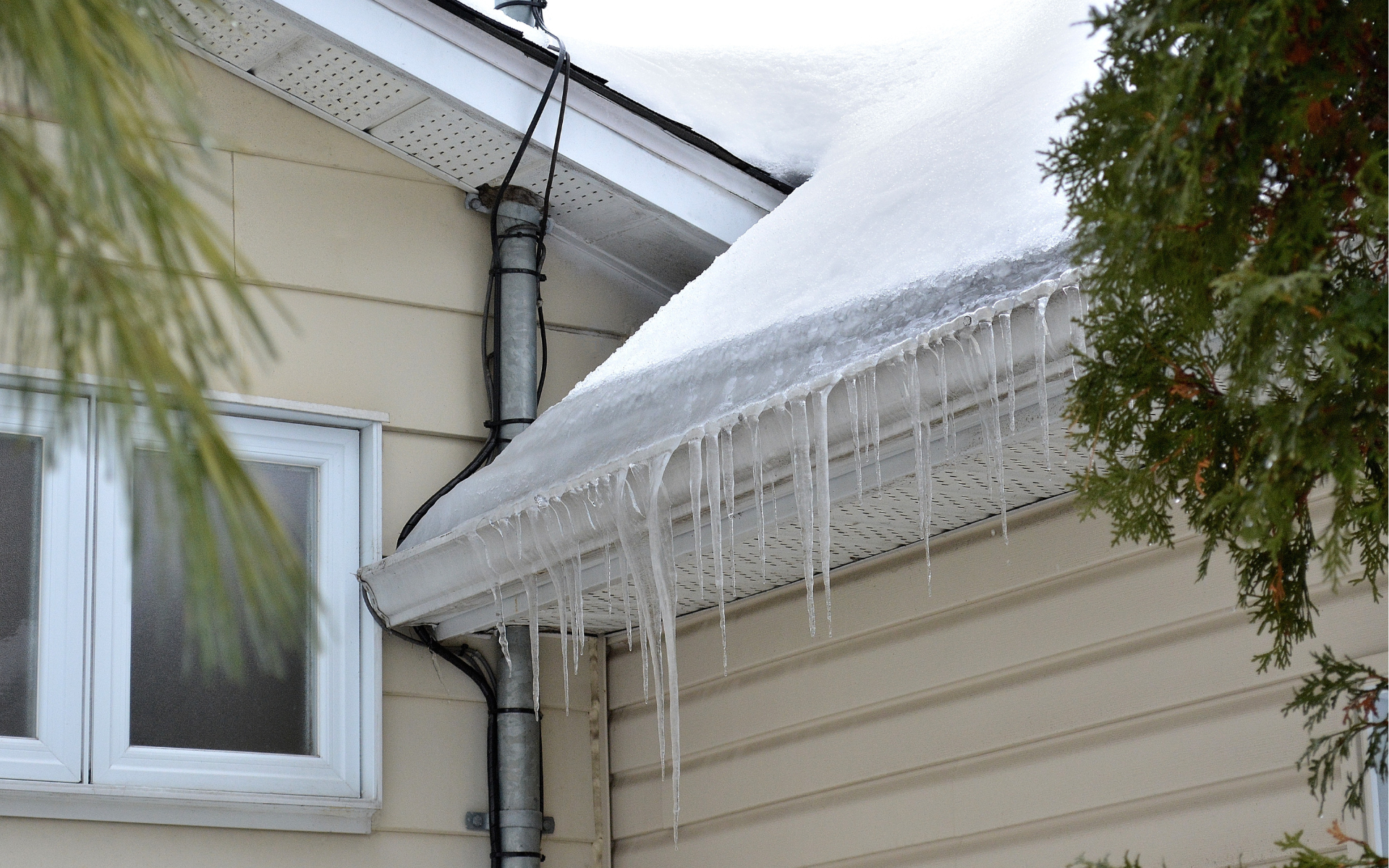 icicles hanging off roof