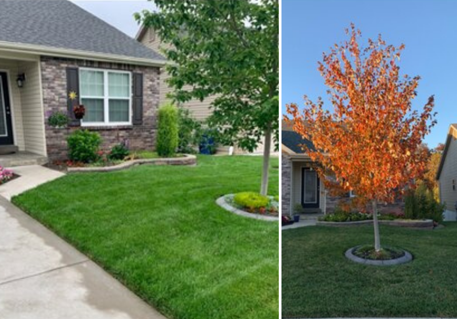 113 Katie Lynn Court Landscaping