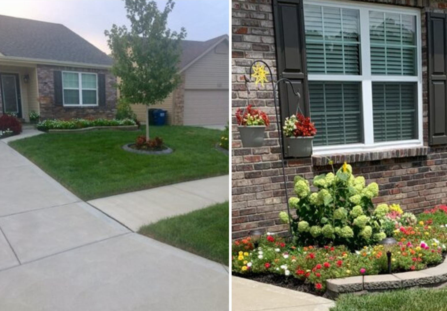 113 Katie Lynn Court Landscaping