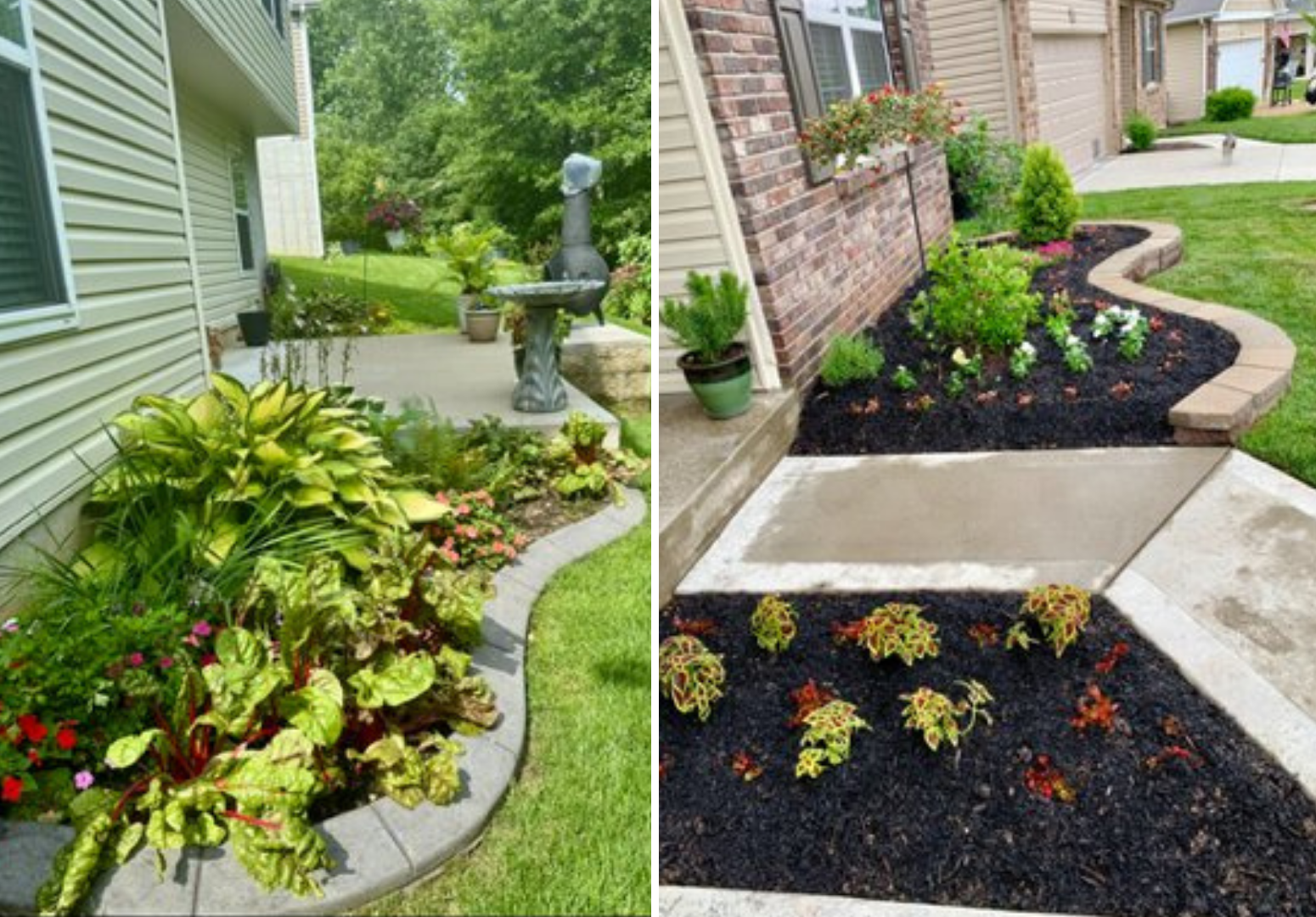 113 Katie Lynn Court Landscaping