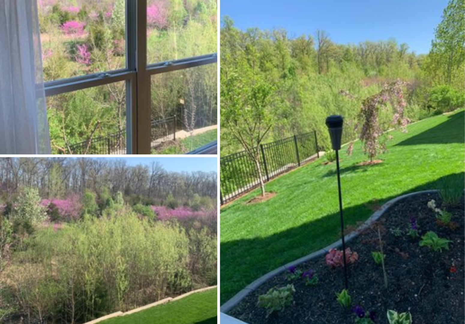 113 Katie Lynn Court Landscaping