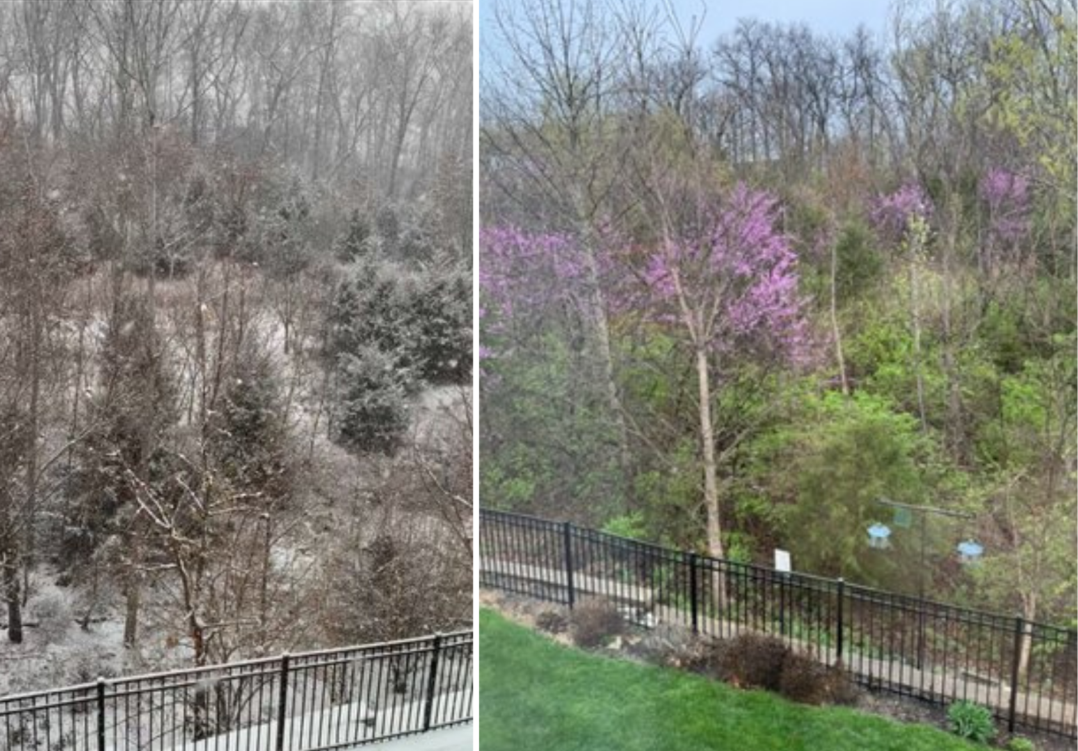 113 Katie Lynn Court Landscaping