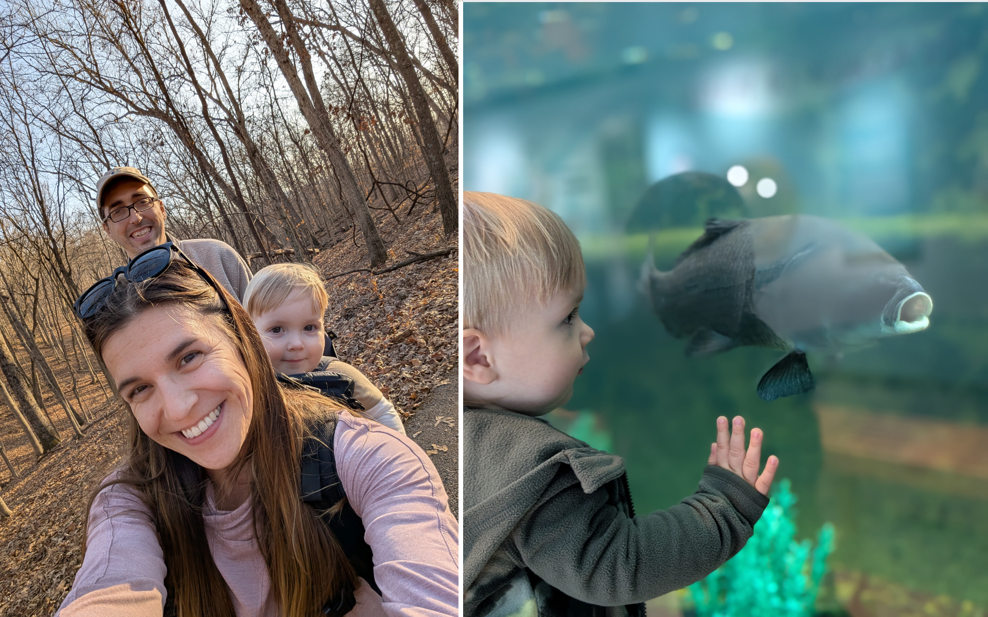 Powder Valley Nature Center