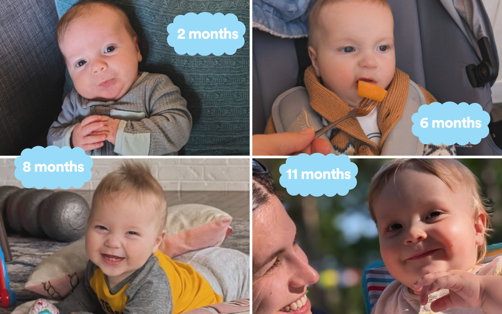 Parents as Teachers Milestones