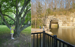 Whitecliff Park in the Crestwood neighborhood of St. Louis