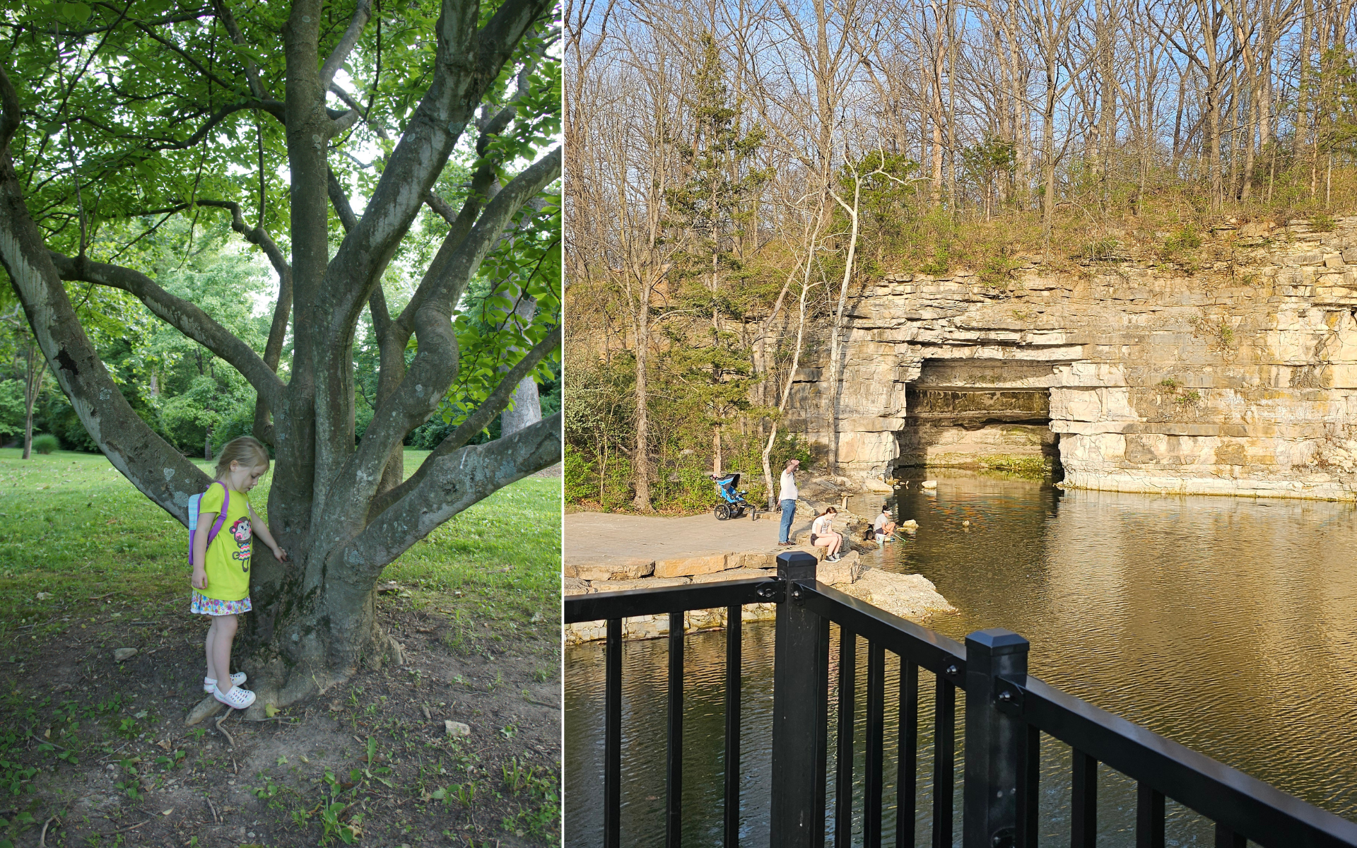 Whitecliff Park in the Crestwood neighborhood of St. Louis
