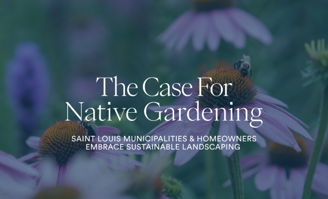 native-landscapting-st-louis