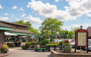 Things to do in Kirkwood farmers market